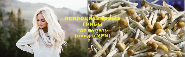 скорость Краснотурьинск
