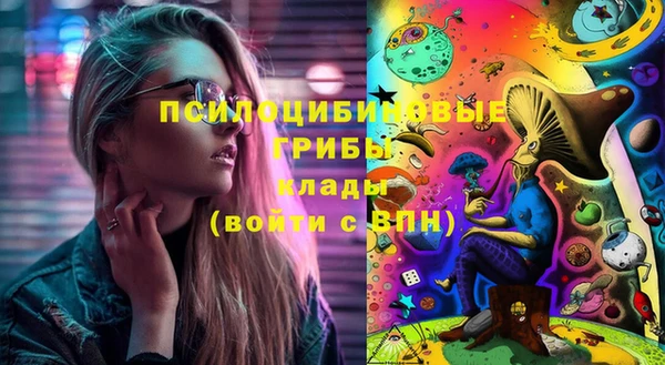 Альфа ПВП Алексин