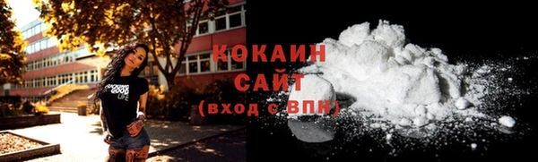 дживик Краснослободск