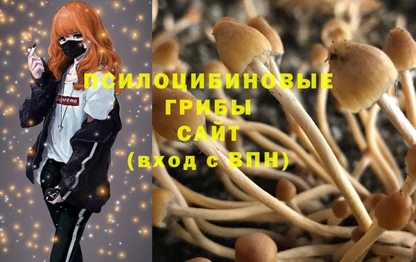 Альфа ПВП Алексин