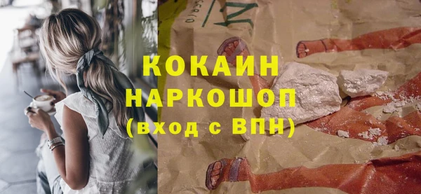хмурый Алзамай