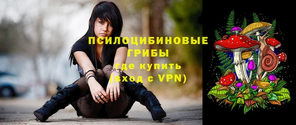 дживик Алексеевка